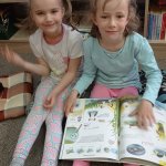 phoca_thumb_m_knihovna 10 Fotogalerie